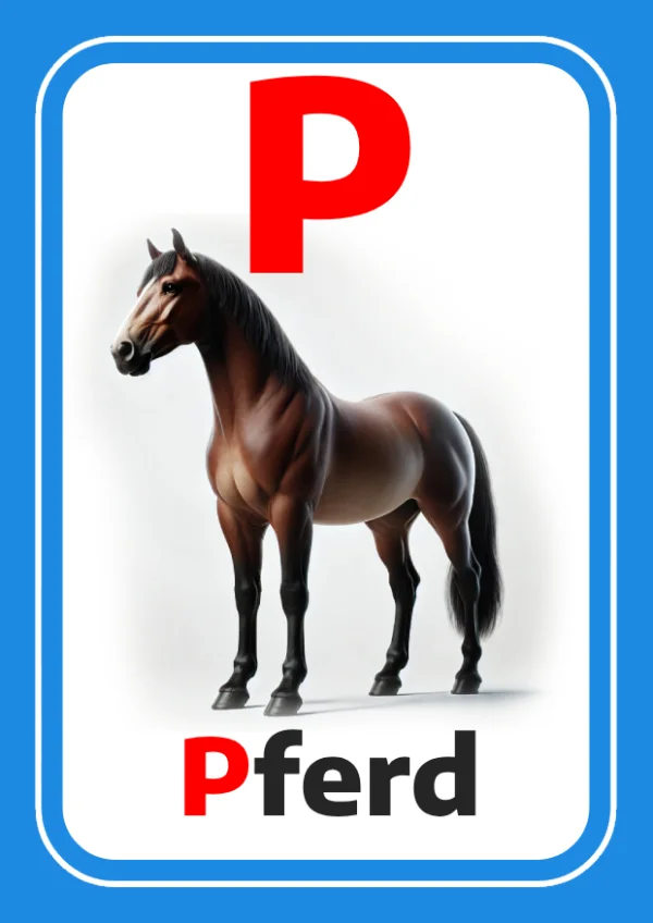 Horse — حصان — Letter P