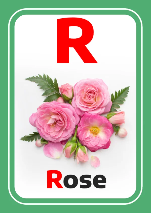 Rose — وردة — Letter R