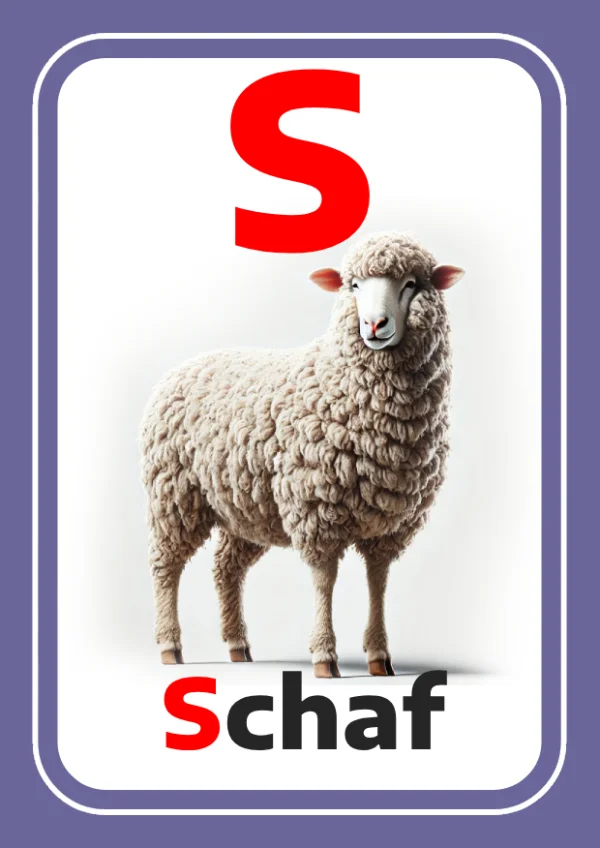 Sheep — خروف — Letter S