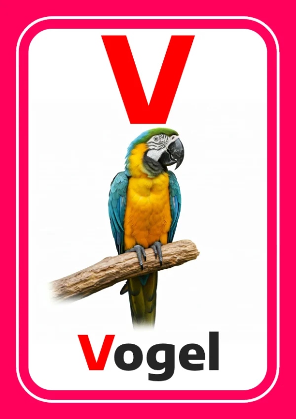 Bird — طائر — Letter V