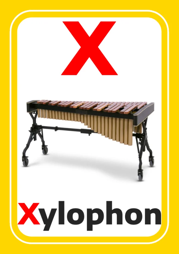 Xylophone — إكسليفون — Letter X