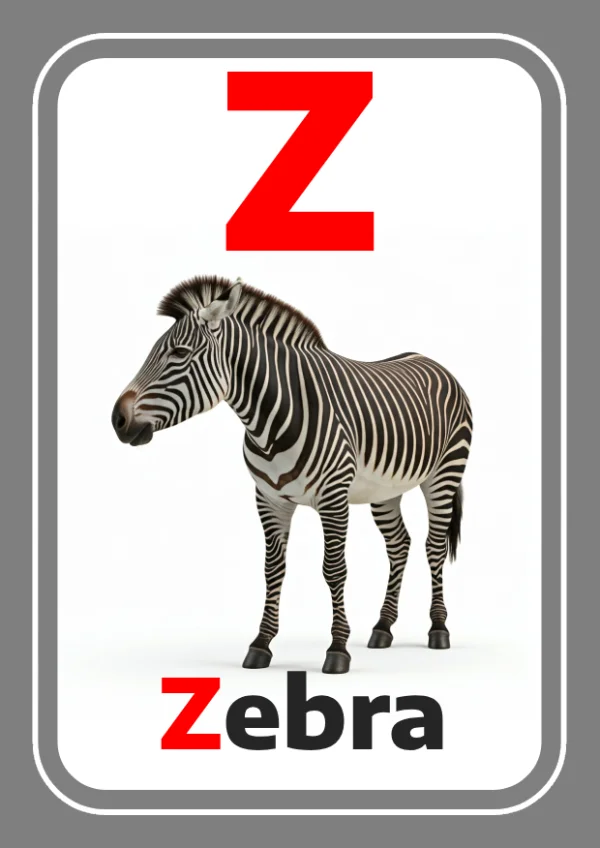 Zebra — حمار وحشي — Letter Z