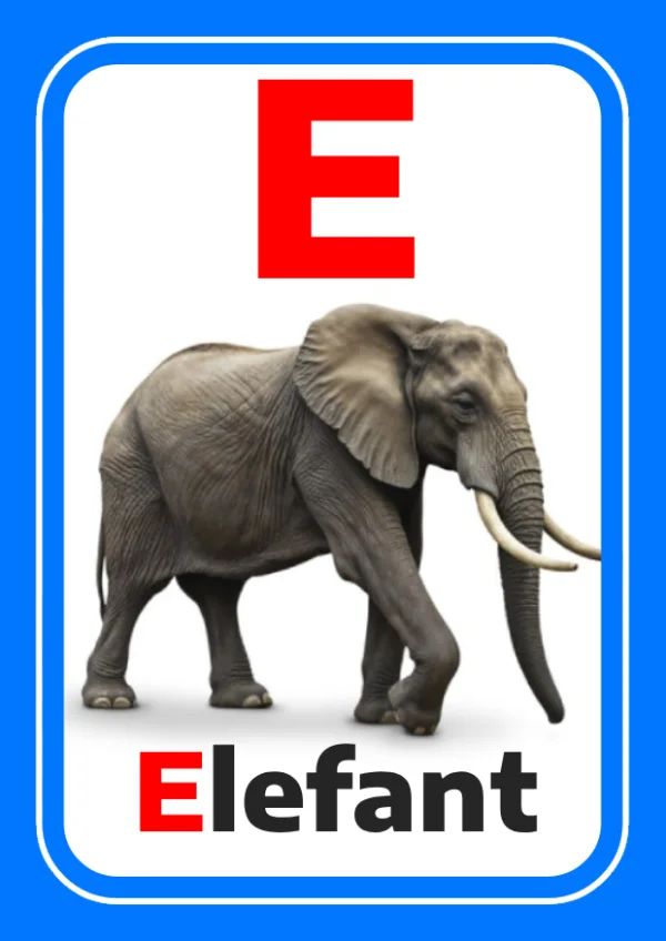 Elephant — فيل — Letter E