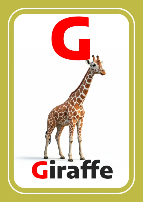 Giraffe — زرافة — Letter G
