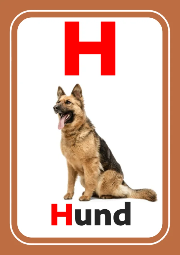 Dog — كلب — Letter H