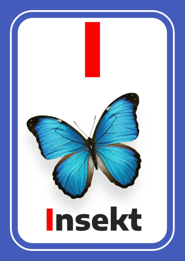 Insect — حشرة — Letter I
