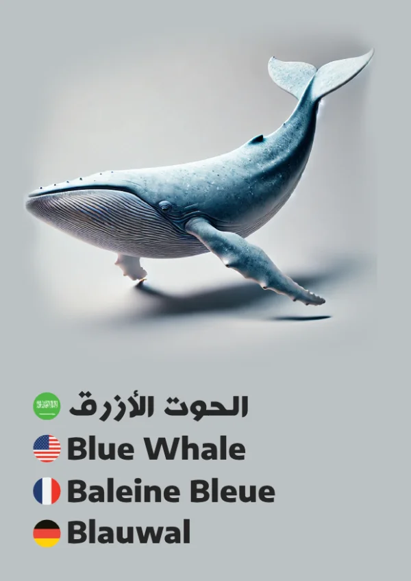 Blue Whale — الحوت الأزرق