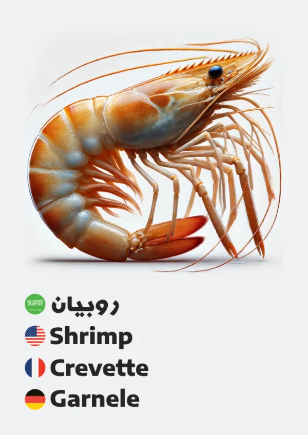 Shrimp — روبيان