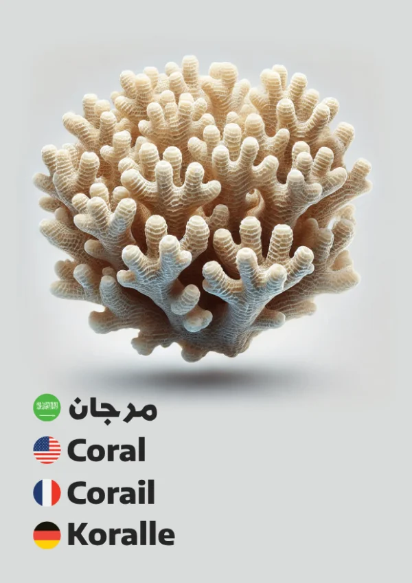Coral — مرجان