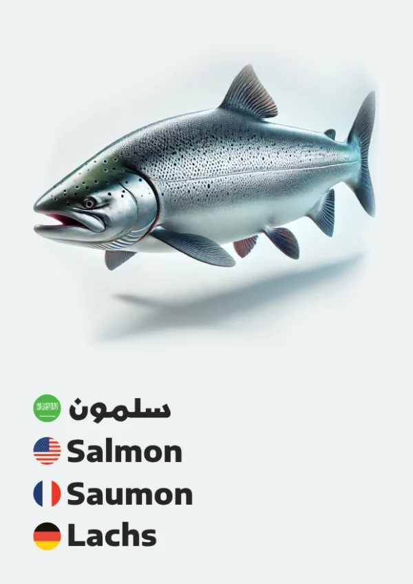 Salmon — سلمون