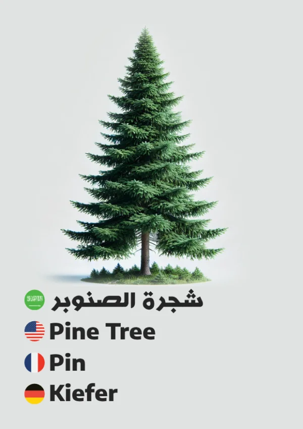 Pine Tree — شجرة الصنوبر