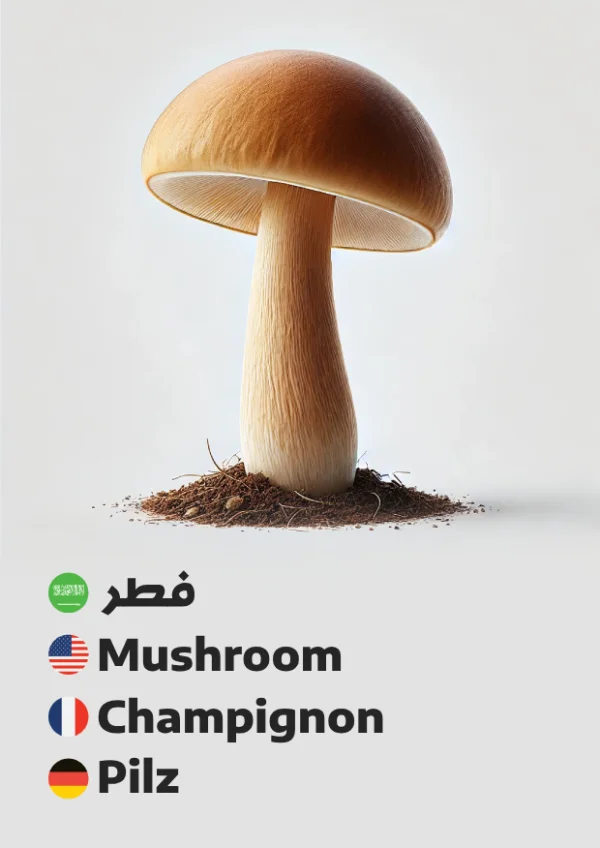 Mushroom — فطر