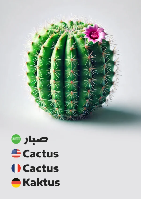 Cactus — صبار