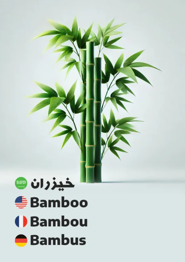 Bamboo — خيزران