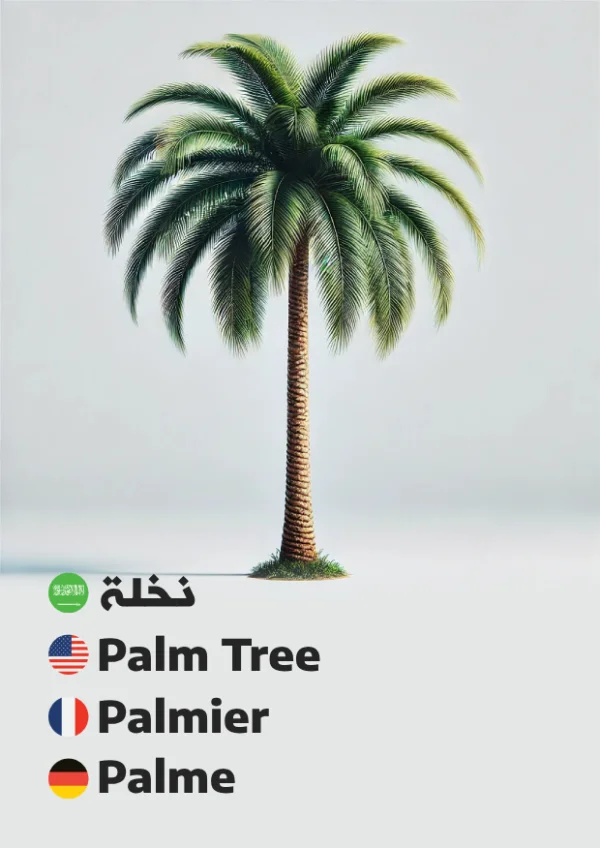 Palm Tree — نخلة