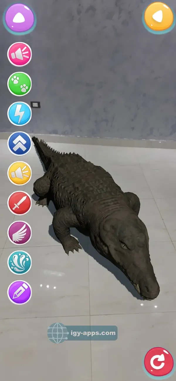 Alphabet AR 4D — 4