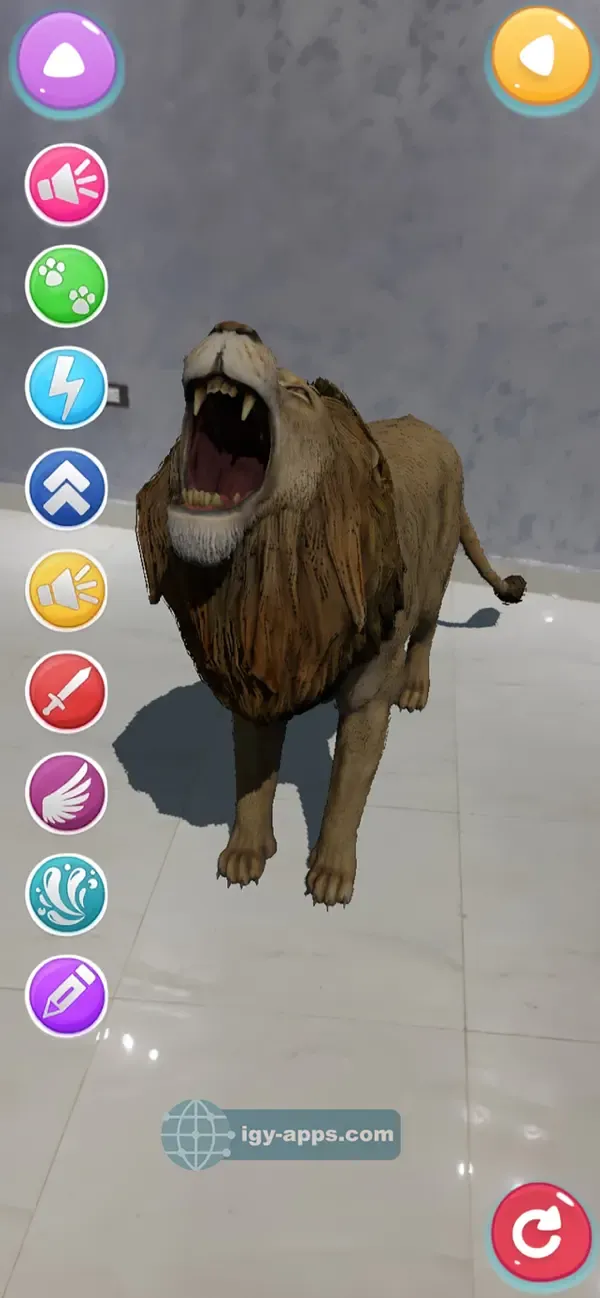 Alphabet AR 4D — 6