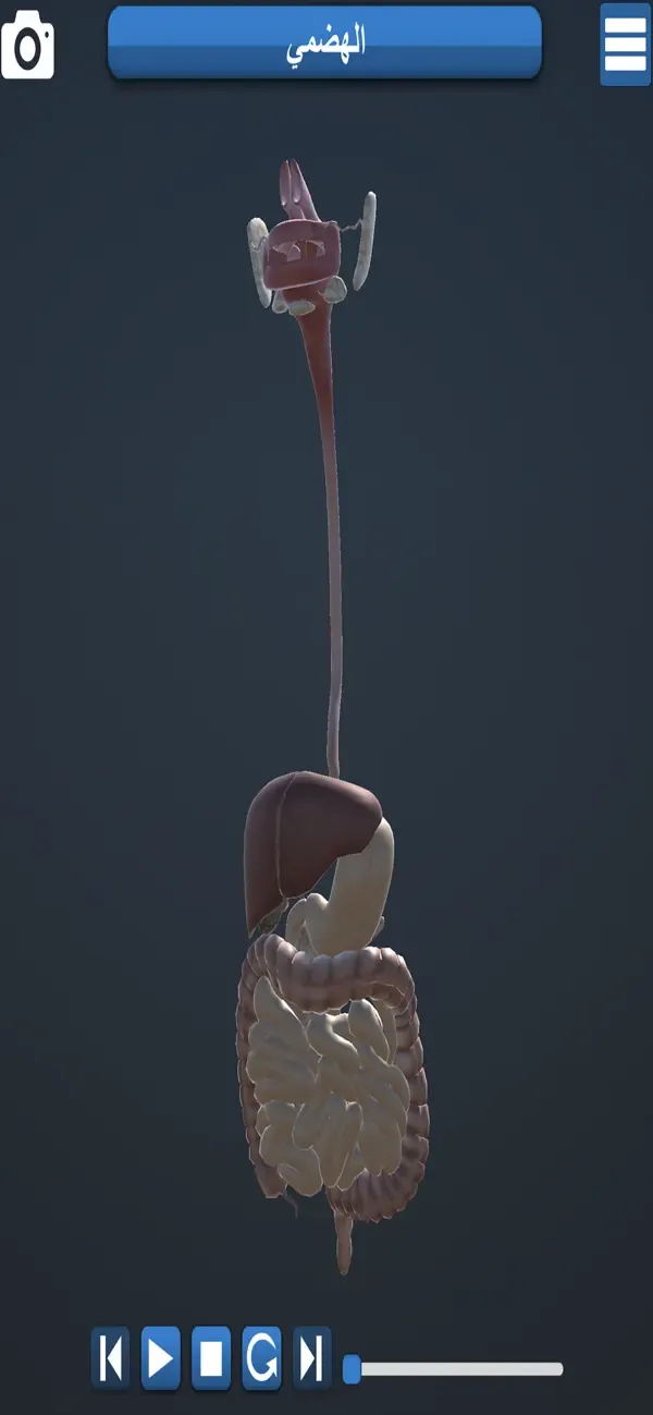 Educational Anatomy 3D — 1