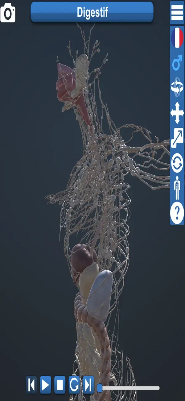 Educational Anatomy 3D — 2