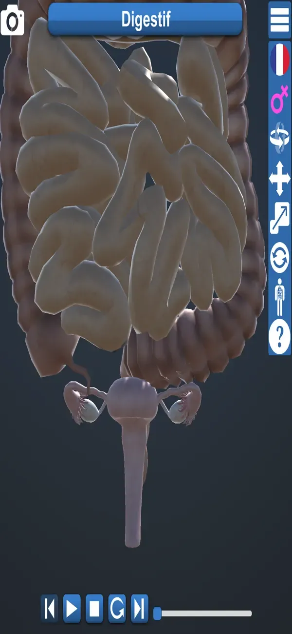 Educational Anatomy 3D — 3