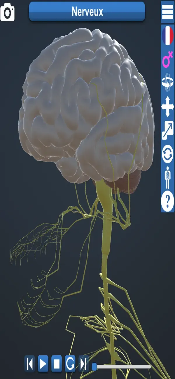 Educational Anatomy 3D — 4