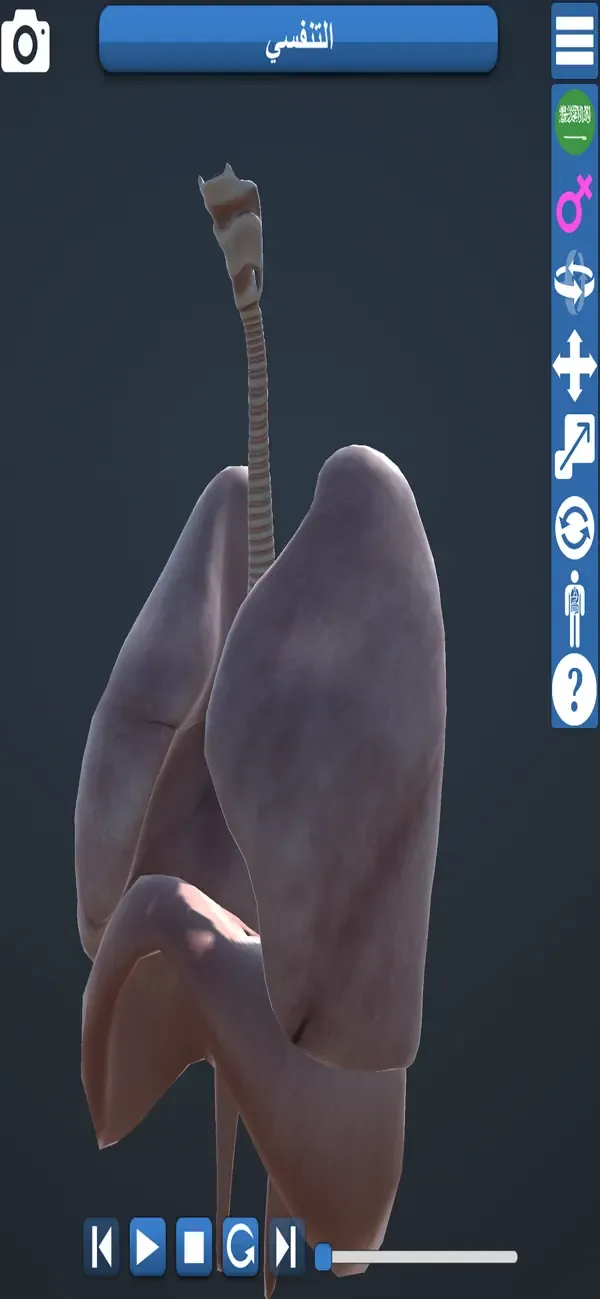 Educational Anatomy 3D — 5