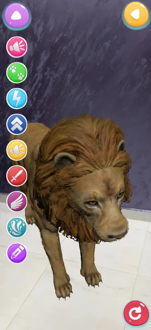Animals AR 4D — 1