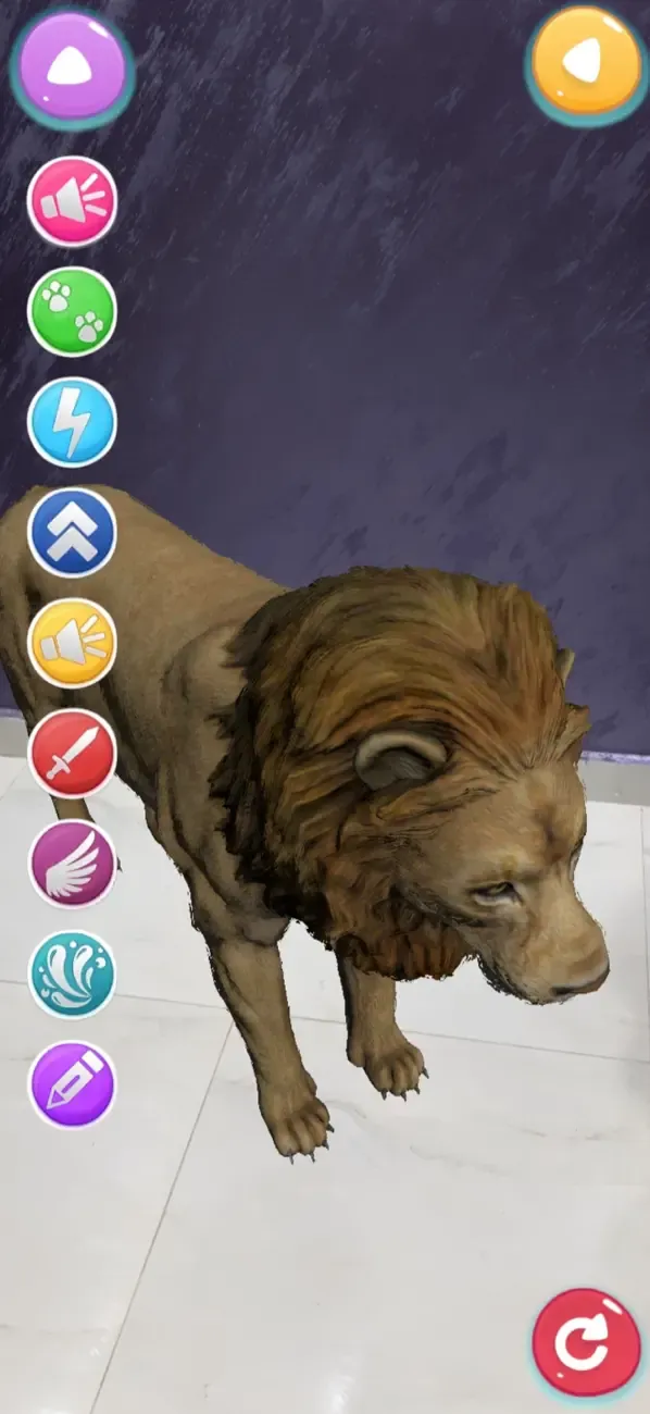 Animals AR 4D — 3