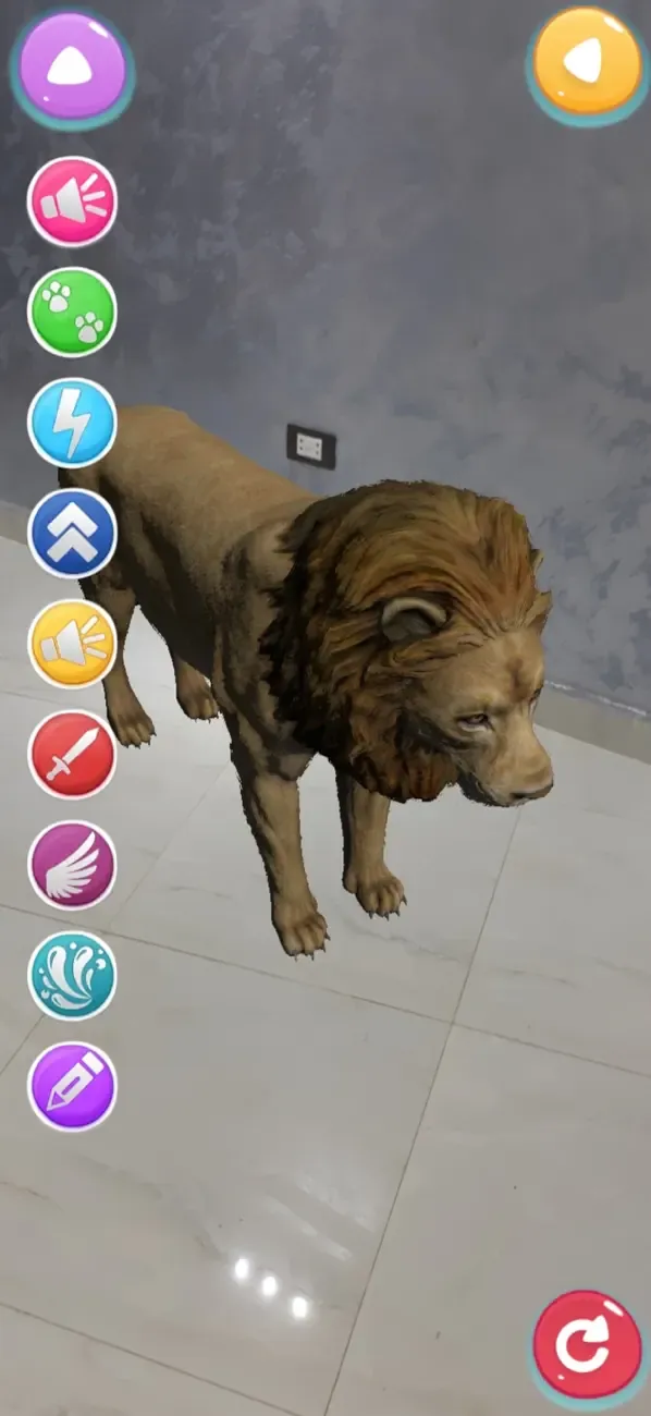 Animals AR 4D — 4