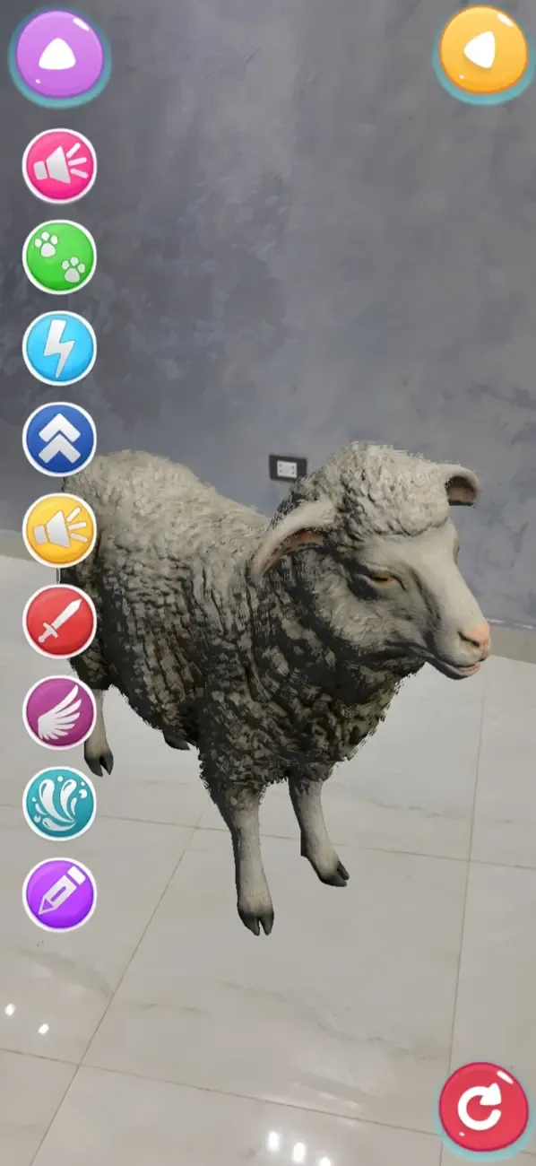 Animals AR 4D — 6