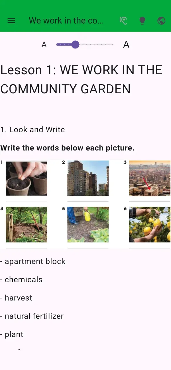 English Primary 6 — 3
