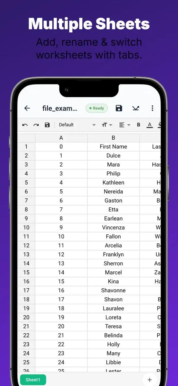 Glazr XLSX & CSV File Editor — 3