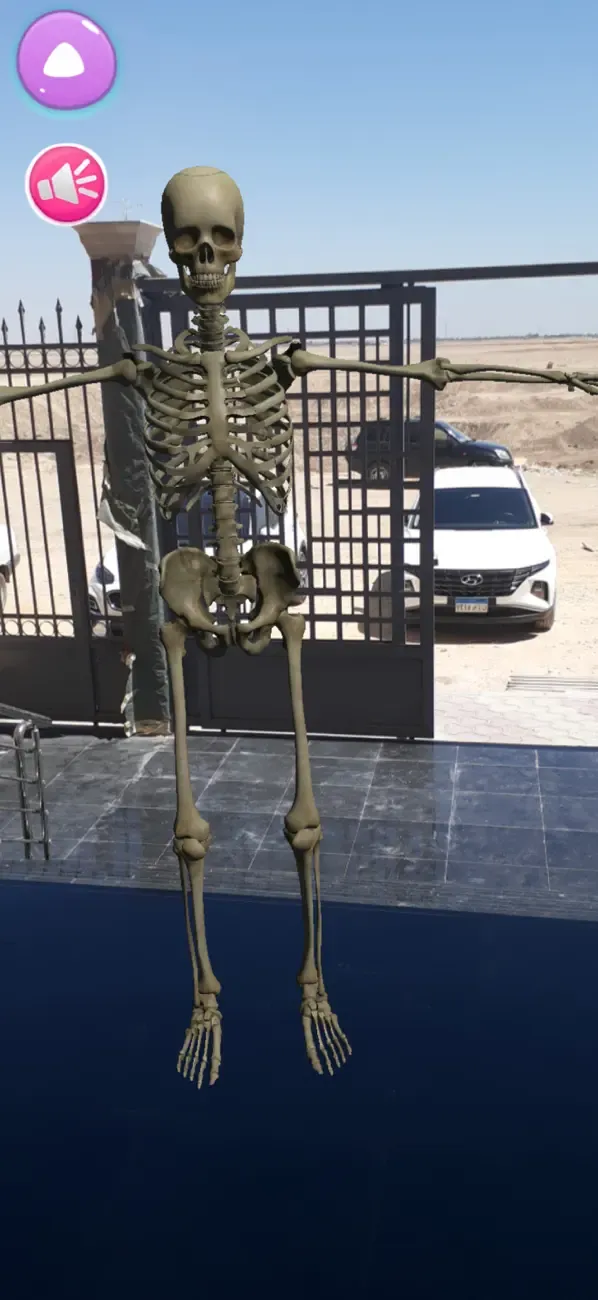 Human Anatomy AR 4D — 4